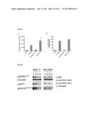 SPECIFIC AND HIGH AFFINITY BINDING PROTEINS COMPRISING MODIFIED SH3     DOMAINS OF FYN KINASE diagram and image