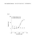 SPECIFIC AND HIGH AFFINITY BINDING PROTEINS COMPRISING MODIFIED SH3     DOMAINS OF FYN KINASE diagram and image