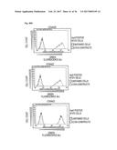 SPECIFIC AND HIGH AFFINITY BINDING PROTEINS COMPRISING MODIFIED SH3     DOMAINS OF FYN KINASE diagram and image