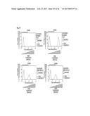 SPECIFIC AND HIGH AFFINITY BINDING PROTEINS COMPRISING MODIFIED SH3     DOMAINS OF FYN KINASE diagram and image