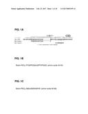 IL-17F-SPECIFIC CAPTURE AGENTS, COMPOSITIONS, AND METHODS OF USING AND     MAKING diagram and image