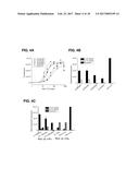 IL-17F-SPECIFIC CAPTURE AGENTS, COMPOSITIONS, AND METHODS OF USING AND     MAKING diagram and image