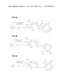 IL-17F-SPECIFIC CAPTURE AGENTS, COMPOSITIONS, AND METHODS OF USING AND     MAKING diagram and image