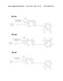 IL-17F-SPECIFIC CAPTURE AGENTS, COMPOSITIONS, AND METHODS OF USING AND     MAKING diagram and image