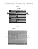 THIN-FILM TRANSISTOR DEVICE AND DISPLAY DEVICE USING SAME diagram and image