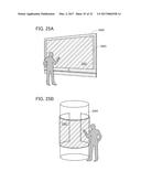 DISPLAY DEVICE diagram and image