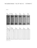 ORGANIC EL DISPLAY PANEL AND ORGANIC EL DISPLAY DEVICE diagram and image