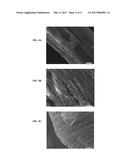 Cellulose Binding Domain Chitosan Seed Coating diagram and image