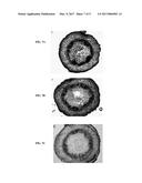 Cellulose Binding Domain Chitosan Seed Coating diagram and image