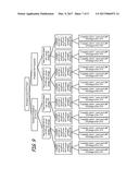 BACTERIOPHAGE TREATMENT FOR REDUCING AND PREVENTING BACTERIAL     CONTAMINATION diagram and image