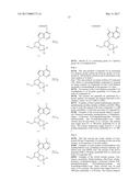 NOVEL PYRROLOPYRIMIDINE COMPOUND OR SALT THEREOF, PHARMACEUTICAL     COMPOSITION CONTAINING SAME, ESPECIALLY AGENT FOR PREVENTION AND/OR     TREATMENT OF TUMORS ETC BASED ON NAE INHIBITORY EFFECT diagram and image