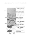 TREATMENT OF KEROGEN IN SUBTERRANEAN FORMATIONS diagram and image