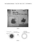 PROPPANT BEAD FORMING METHODS diagram and image