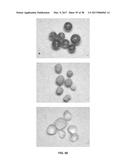 PROPPANT BEAD FORMING METHODS diagram and image