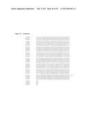 SYNTHETIC METHYLMALONYL-COA MUTASE TRANSGENE FOR THE TREATMENT OF MUT     CLASS METHYLMALONIC ACIDEMIA (MMA) diagram and image