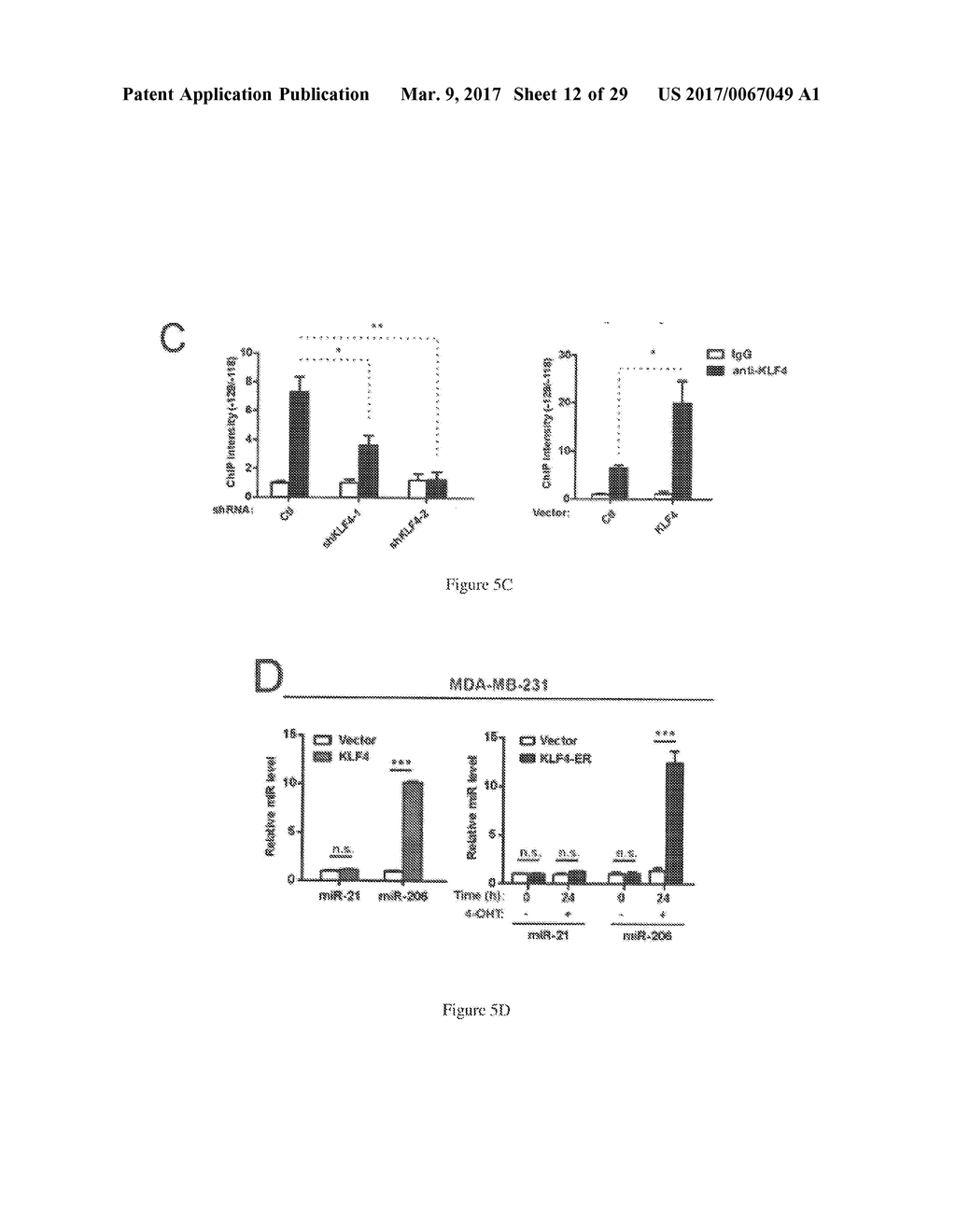 MicroRNAs 206 and 21 Cooperate To Promote RAS-Extracellular     Signal-Regulated Kinase Signaling by Suppressing the Translation of RASA1     and SPRED1 - diagram, schematic, and image 13