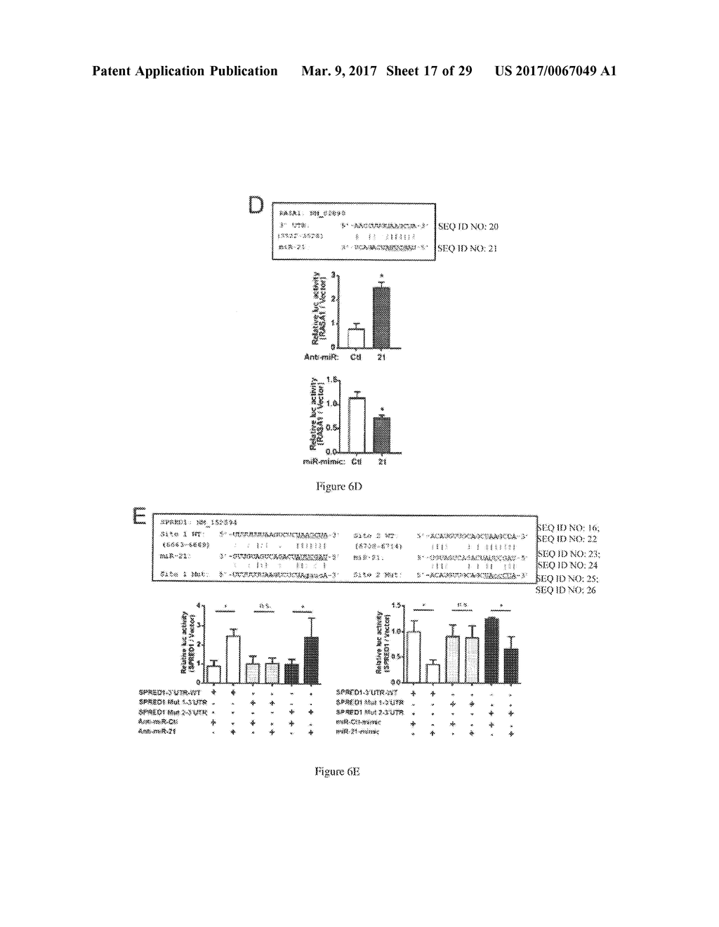 MicroRNAs 206 and 21 Cooperate To Promote RAS-Extracellular     Signal-Regulated Kinase Signaling by Suppressing the Translation of RASA1     and SPRED1 - diagram, schematic, and image 18