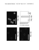 METHODS AND DEVICES FOR SELECTION AND ISOLATION OF APTAMERS diagram and image