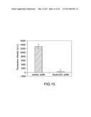 METHODS AND DEVICES FOR SELECTION AND ISOLATION OF APTAMERS diagram and image