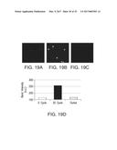 METHODS AND DEVICES FOR SELECTION AND ISOLATION OF APTAMERS diagram and image