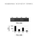 METHODS AND DEVICES FOR SELECTION AND ISOLATION OF APTAMERS diagram and image