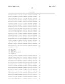 METHODS AND NUCLEIC ACIDS FOR THE ANALYSIS OF GENE EXPRESSION ASSOCIATED     WITH THE DEVELOPMENT OF PROSTATE CELL PROLIFERATIVE DISORDERS diagram and image