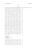 METHODS AND NUCLEIC ACIDS FOR THE ANALYSIS OF GENE EXPRESSION ASSOCIATED     WITH THE DEVELOPMENT OF PROSTATE CELL PROLIFERATIVE DISORDERS diagram and image