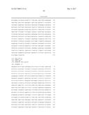 METHODS AND NUCLEIC ACIDS FOR THE ANALYSIS OF GENE EXPRESSION ASSOCIATED     WITH THE DEVELOPMENT OF PROSTATE CELL PROLIFERATIVE DISORDERS diagram and image