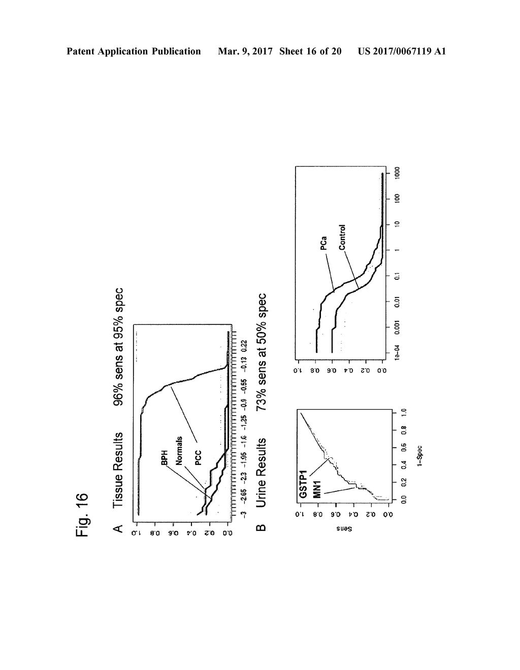 METHODS AND NUCLEIC ACIDS FOR THE ANALYSIS OF GENE EXPRESSION ASSOCIATED     WITH THE DEVELOPMENT OF PROSTATE CELL PROLIFERATIVE DISORDERS - diagram, schematic, and image 17