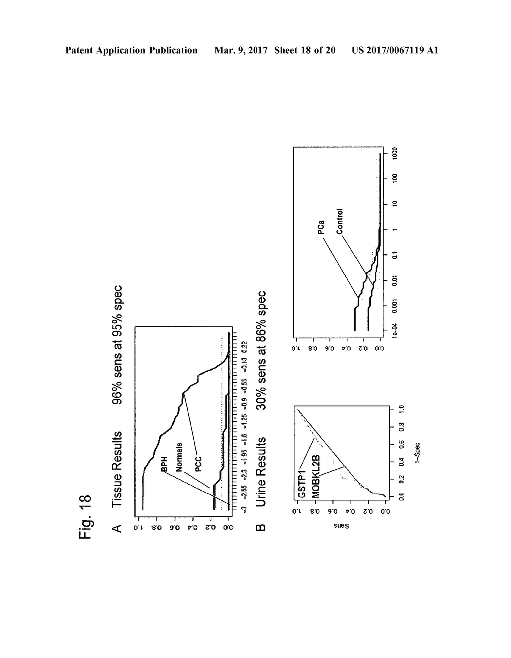 METHODS AND NUCLEIC ACIDS FOR THE ANALYSIS OF GENE EXPRESSION ASSOCIATED     WITH THE DEVELOPMENT OF PROSTATE CELL PROLIFERATIVE DISORDERS - diagram, schematic, and image 19