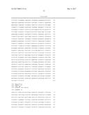 METHODS AND NUCLEIC ACIDS FOR THE ANALYSIS OF GENE EXPRESSION ASSOCIATED     WITH THE DEVELOPMENT OF PROSTATE CELL PROLIFERATIVE DISORDERS diagram and image