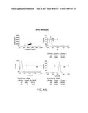 Methods using DNA methylation for identifying a cell or a mixture of cells     for prognosis and diagnosis of diseases, and for cell remediation     therapies diagram and image