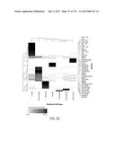 Methods using DNA methylation for identifying a cell or a mixture of cells     for prognosis and diagnosis of diseases, and for cell remediation     therapies diagram and image