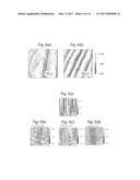 METHOD FOR PROCESSING WIDE-BANDGAP SEMICONDUCTOR SUBSTRATE AND APPARATUS     THEREFOR diagram and image