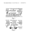 USE OF ORGANIC SULPHUR, ANTIOXIDANTS, AND AMINO ACIDS IN CONJUNCTION WITH     EXERCISE AND ELECTROMAGNETIC STIMULATION TO TREAT OSTEOPOROSIS diagram and image