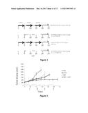 Oncolytic Virus and Aurora Kinase Inhibitor for the Treatment of Cancer diagram and image