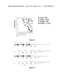 Oncolytic Virus and Aurora Kinase Inhibitor for the Treatment of Cancer diagram and image