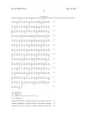 VIRAL INHIBITORY NUCLEOTIDE SEQUENCES AND VACCINES diagram and image
