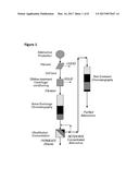 PROCESS FOR THE PREPARATION OF GROUP B ADENOVIRUSES diagram and image