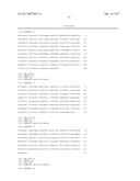 REGULATORY ELEMENT FOR HETEROLOGOUS PROTEIN PRODUCTION IN THE FRUITING     BODY OF FILAMENTOUS FUNGI diagram and image