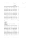 COMPOSITIONS AND METHODS FOR HIGH EFFICIENCY IN VIVO GENOME EDITING diagram and image