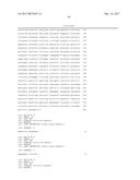 COMPOSITIONS AND METHODS FOR HIGH EFFICIENCY IN VIVO GENOME EDITING diagram and image