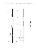 COMPOSITIONS AND METHODS FOR HIGH EFFICIENCY IN VIVO GENOME EDITING diagram and image