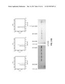 COMPOSITIONS AND METHODS FOR HIGH EFFICIENCY IN VIVO GENOME EDITING diagram and image