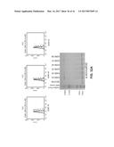 COMPOSITIONS AND METHODS FOR HIGH EFFICIENCY IN VIVO GENOME EDITING diagram and image