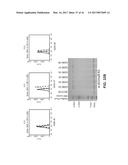 COMPOSITIONS AND METHODS FOR HIGH EFFICIENCY IN VIVO GENOME EDITING diagram and image