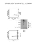 COMPOSITIONS AND METHODS FOR HIGH EFFICIENCY IN VIVO GENOME EDITING diagram and image