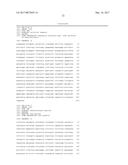 COMPOSITIONS AND METHODS FOR HIGH EFFICIENCY IN VIVO GENOME EDITING diagram and image