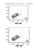 CRISPR-BASED GENOME MODIFICATION AND REGULATION diagram and image