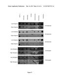 SYNTHESIS OF LONG-CHAIN POLYUNSATURATED FATTY ACIDS BY RECOMBINANT CELL diagram and image